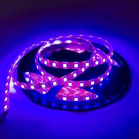 Tira LED  (5m)  LUZ NEGRA UV Ultravioleta 60Leds/m  24V  IP65 IMPERMEABLE