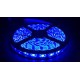 Tira LED  (5m)  AZUL PURO SMD 5050 60Leds/m NO Impermeable